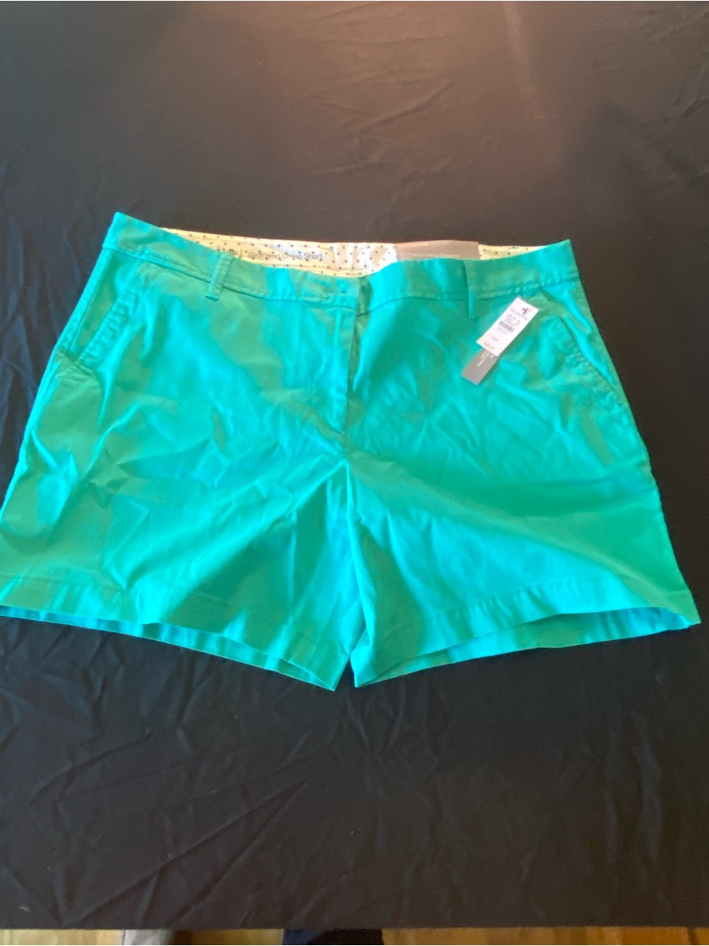 Talbots Bright Teal Chino Shorts